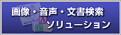 �摜�E�����E���������\�����[�V����