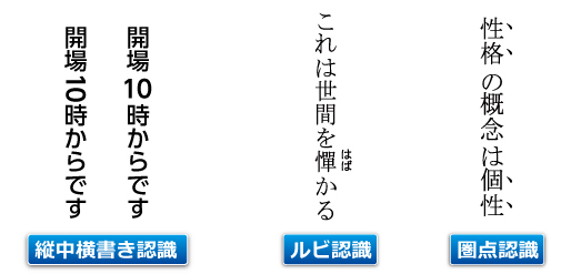 縦中横書き認識 ルビ認識 圏点認識