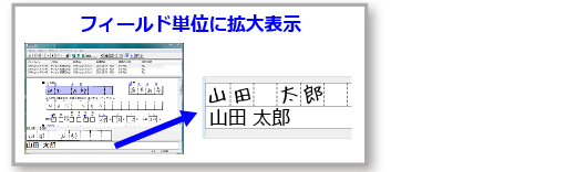 FormOCR 訂正画面(拡大表示モード)