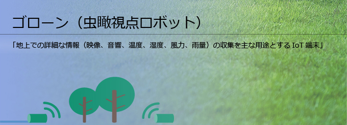 ゴローン(虫瞰視点ロボット)