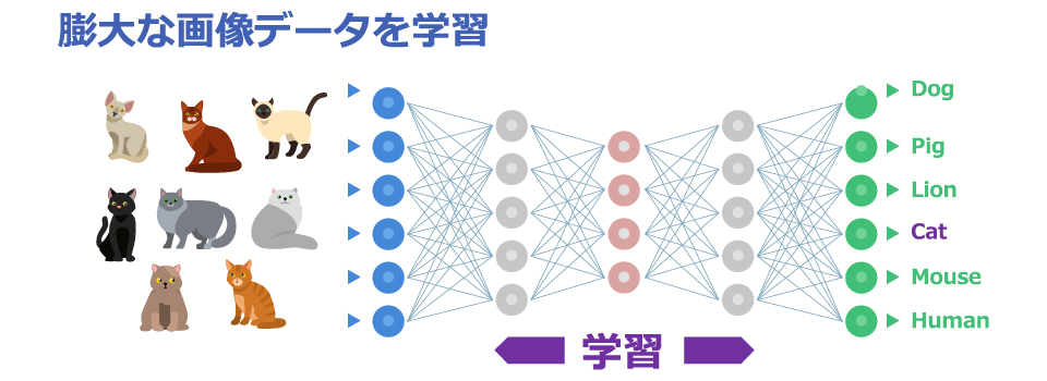 画像認識 膨大な画像データを学習 猫 CAT