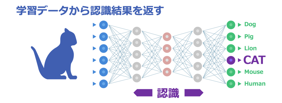 画像認識 画像データから認識結果を返す 猫 CAT