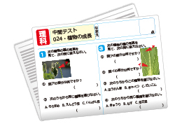 採点