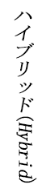 縦書き内横英字