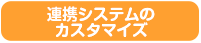 連携システムのカスタマイズ