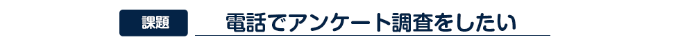 電話でアンケート調査をしたい