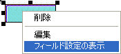 フィールド設定画面が表示されません