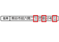 特殊フォント