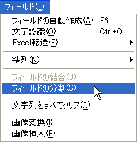 フィールドを分割したい。